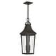 preview thumbnail 13 of 12, Cleary 2-Light Outdoor Pendant with Clear Glass - 24.75 Olde Bronze