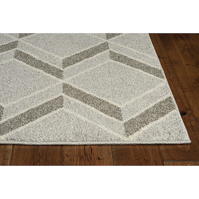 Ophenia Illusions Outdoor Rug by Havenside Home