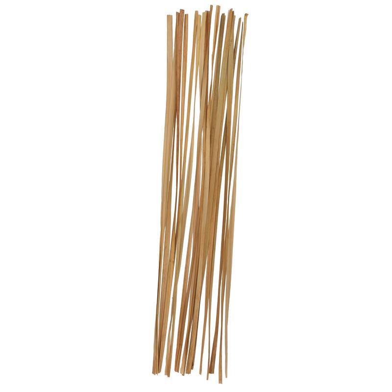 Brown Dried Plant Tall Sticks Home Decor Natural Foliage