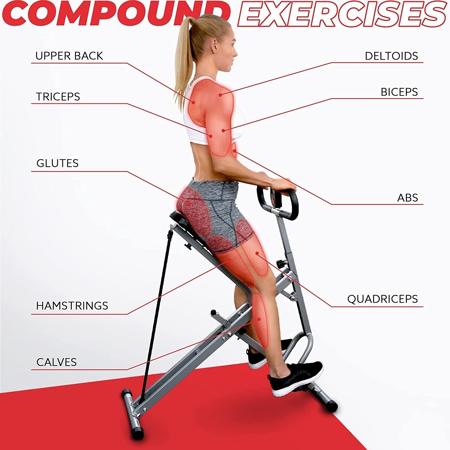 ウエイトトレーニング sunny health & fitness glutes trainer Sunny Health & Fitness Squat Assist Row-N-Ride™ Trainer for