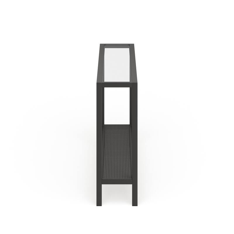Rigan Modern Metal and Glass Console Table