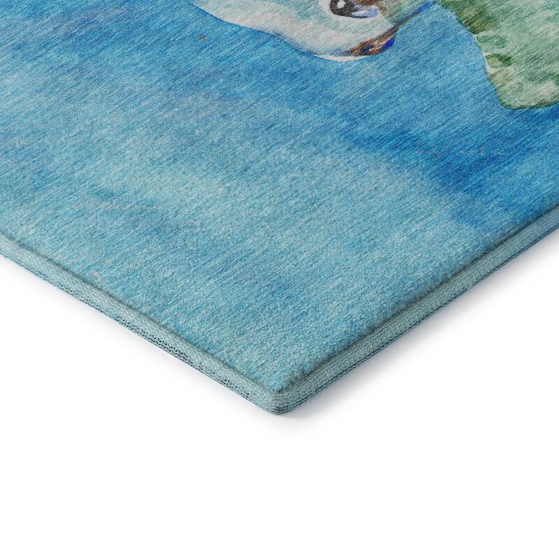 Premium Washable Super Soft Turtle Life Mayfield Rug