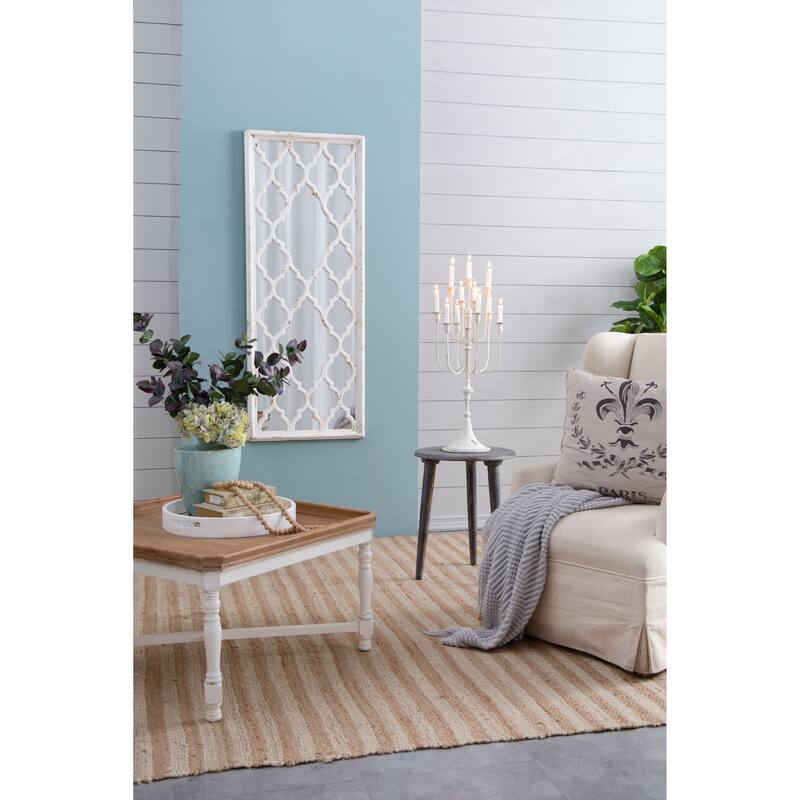 24" x 60" Distressed White Floor Mirror, Full Body Mirror for Bathroom Bedroom Living Room