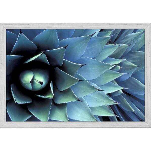 Shop Easy Art Prints Adam Jones S Pattern In Agave Cactus Premium Canvas Art Overstock 25742764