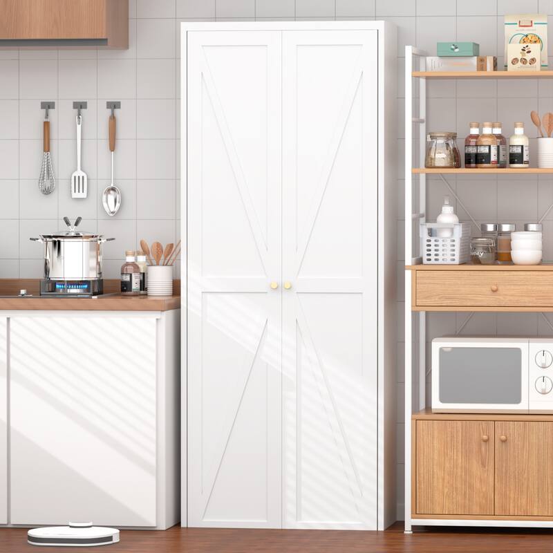 2 Doors Metal Storage Cabinet Kitchen Pantry Cabinet With Adjustable Shelves Tall Steel Cabinet Locker