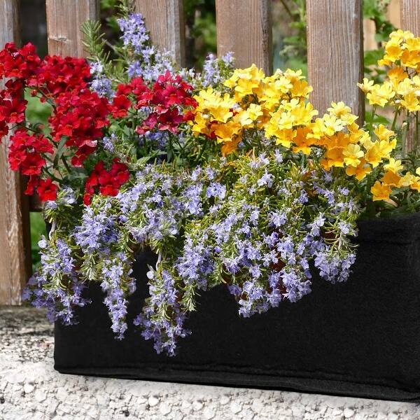Shop Flower Planter Box Kits With Soil Block Butterfly
