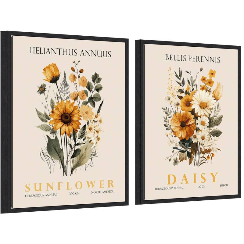 Amanti Art Vintage Sunflower & Daisy 2 Piece by Christopher Giampietro Framed Canvas Wall Art