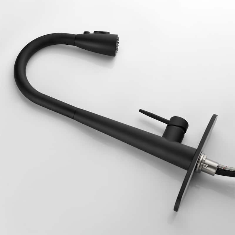 Kitchen Faucet with Pull Down Sprayer Stainless Steel