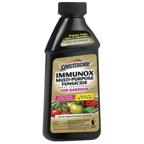 Shop Spectracide Hg 51000 Immunox Multi Purpose Fungicide Spray Concentrate 16 Oz On Sale Overstock 25488707