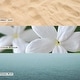 preview thumbnail 6 of 24, ILLUME Beautifully Done Driftwood Demi Vanity Tin Candle