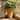 Christopher Knight Home - Rustic Antique Bronze MGO Tall Planter with 3D Tree of Life Embossed Design