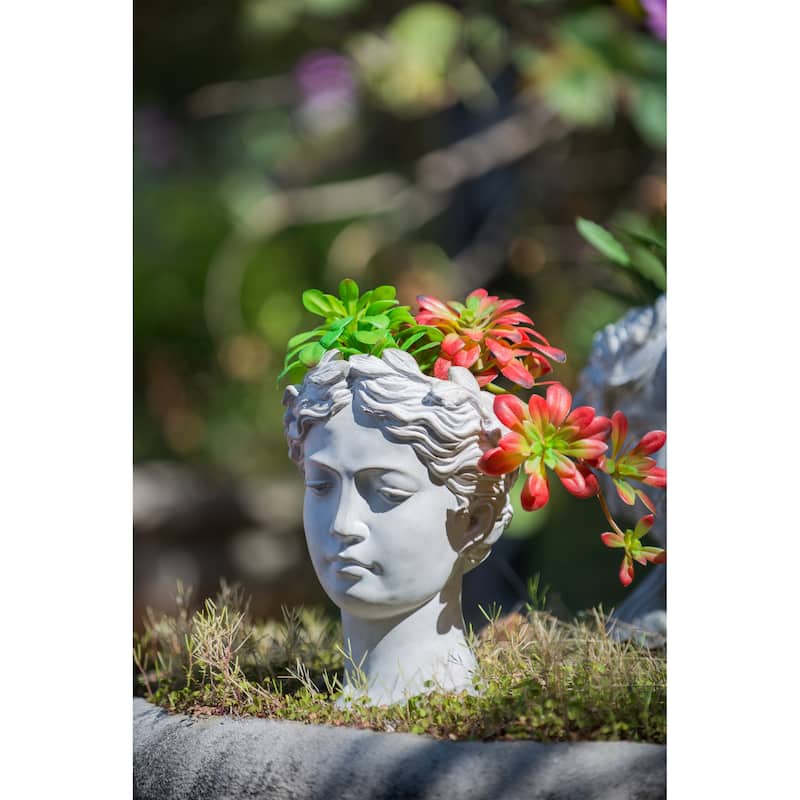 Cement Head Planter