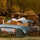 preview thumbnail 10 of 11, Tasha Polizzi for Paseo Road Lee Western Washed Denim 3 Piece Duvet Cover Set
