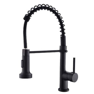 Single Handle One Hole Kitchen Faucets Pull Down Sprayer Spring
