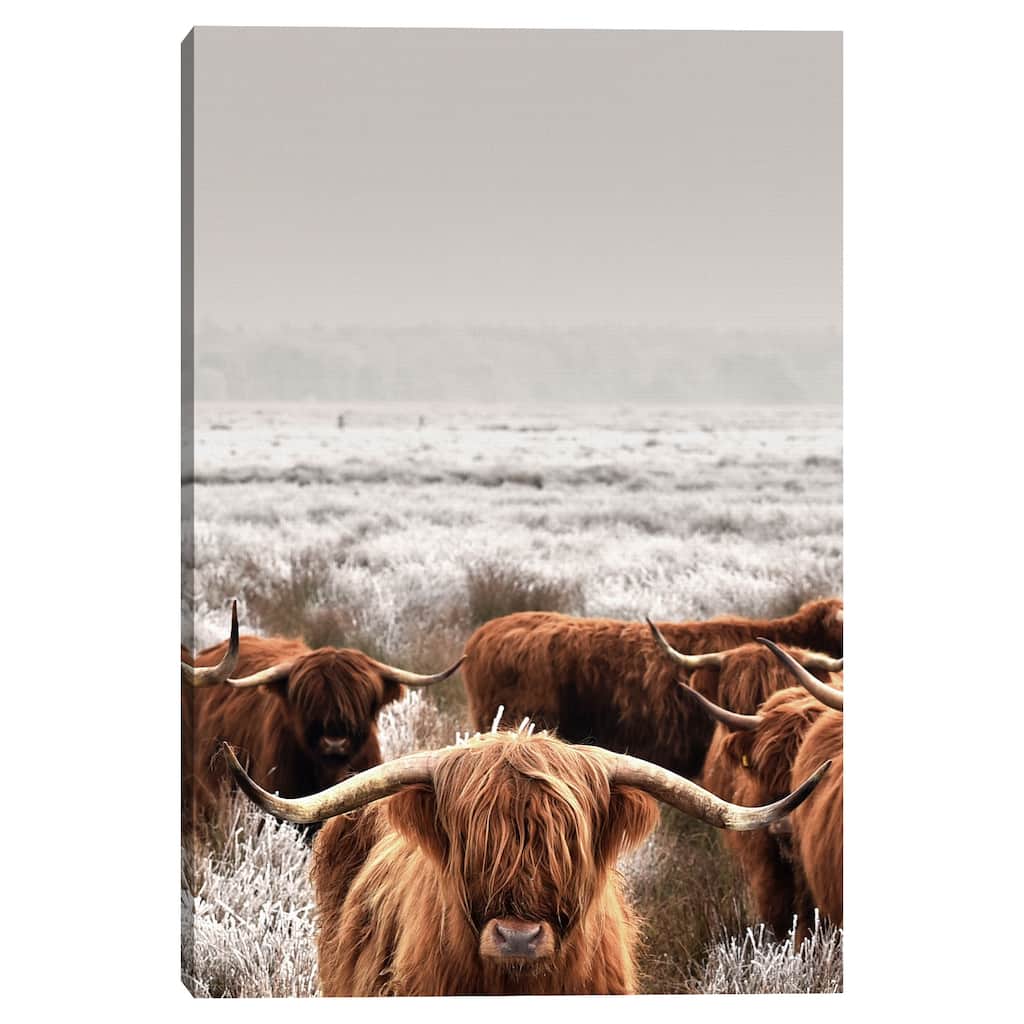 Gathering of Longhorns by Belle Maison Canvas Art Print