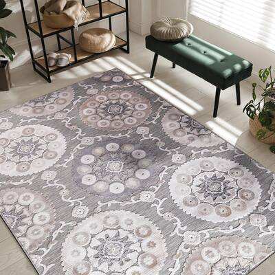 Indoor Rug, Beige Bohemian Medallion Floral Area Rugs, Easy-Cleaning Non-Shedding Washable Carpet (6 x 9) - 6x9