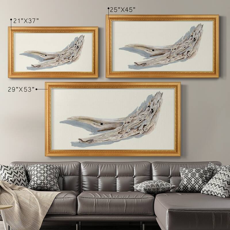 Driftwood Study III Premium Framed Canvas- Ready to Hang