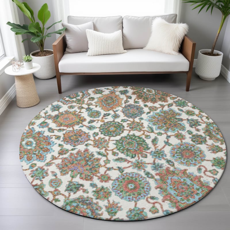 Machine Washable Indoor/Outdoor Traditional Farmhouse Chantille Rug