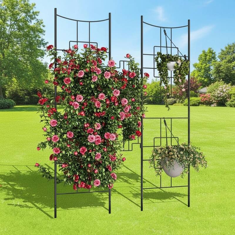 5.5ft Tall Metal Trellis, Privacy Screen - 2pcs