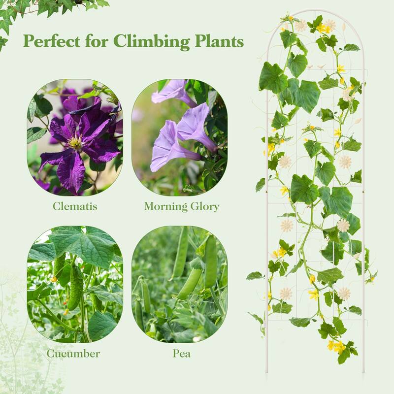 Costway 2 Pack Rustproof Metal Garden Trellis 71" x 20" Wire Lattice - See Details