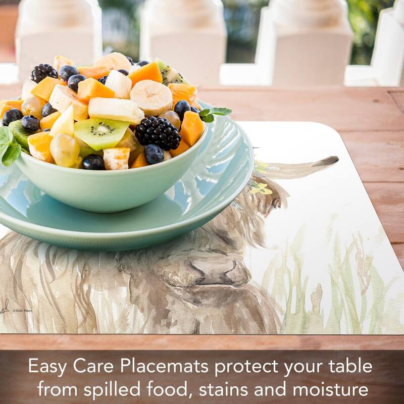 Home On The Range 4 Pack Reversible Easy Care Flexible Plastic Placemats Made in The USA BPA Free Easily Wipes Clean
