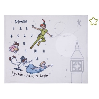 Disney Peter Pan Photo Op Milestone Baby Blanket