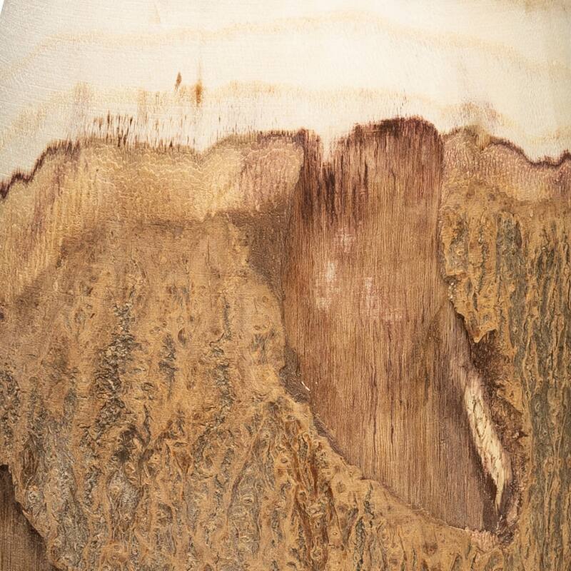 13"H Carved Paulownia Wood Vase with Live Edge (Each one will vary)