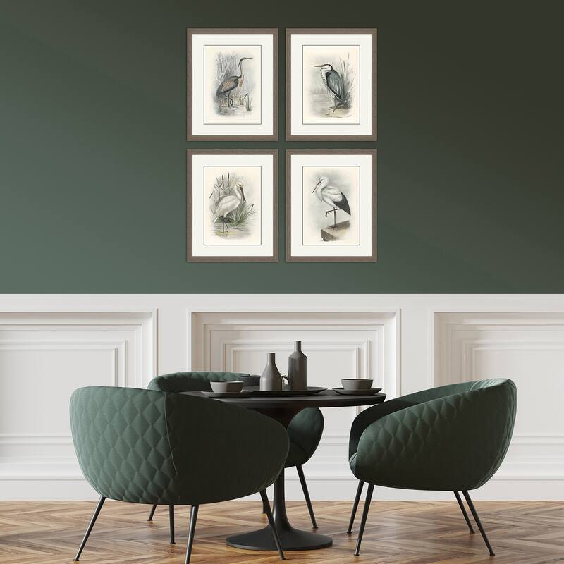 Birds S/4 Framed Art Giclee Under Glass - Grey