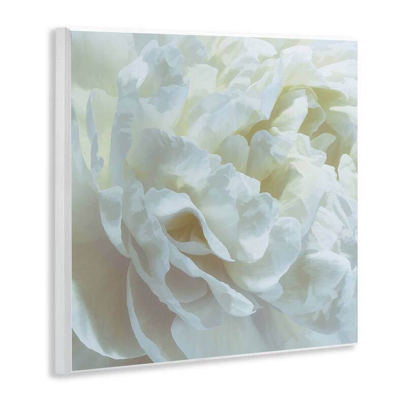 Stupell Elegant White Petals Wall Plaque Art Design By David Pollard