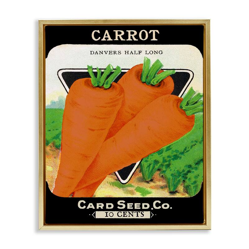 Stupell Vintage Garden Carrots Framed Floater Canvas Wall Art Design By Lil' Rue - 17 x 21 - Gold