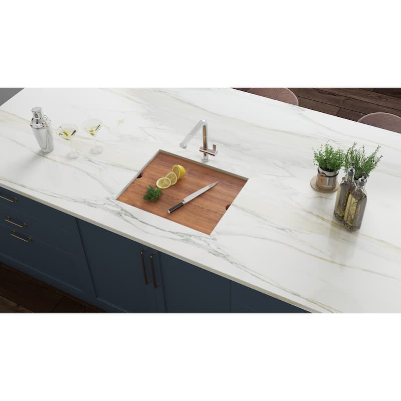 Ruvati 23" Workstation Ledge Bar Prep Kitchen Sink Undermount 16 Gauge Stainless Steel Single Bowl - - 21-3/8? x 16?