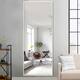 Modern Glam Large Full-length Floor Wall Mirror