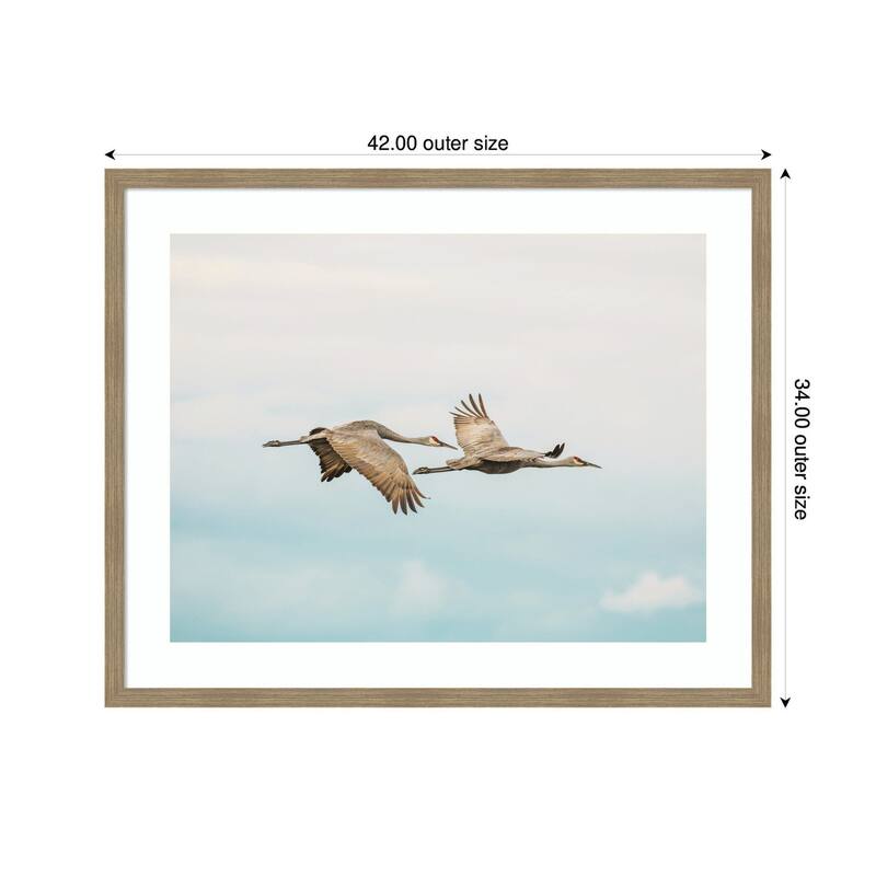 Kate and Laurel Cranes Flying by Emiko and Mark Franzen F2 Images Framed Wall Art Print