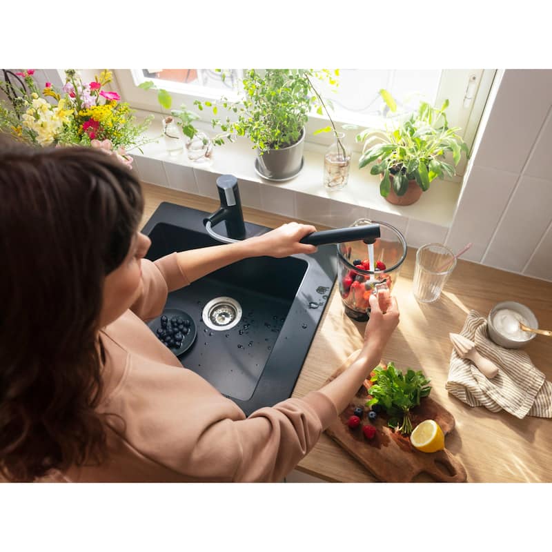 Hansgrohe 74800 Zesis 1.75 GPM Single Hole Pull Out Kitchen Faucet