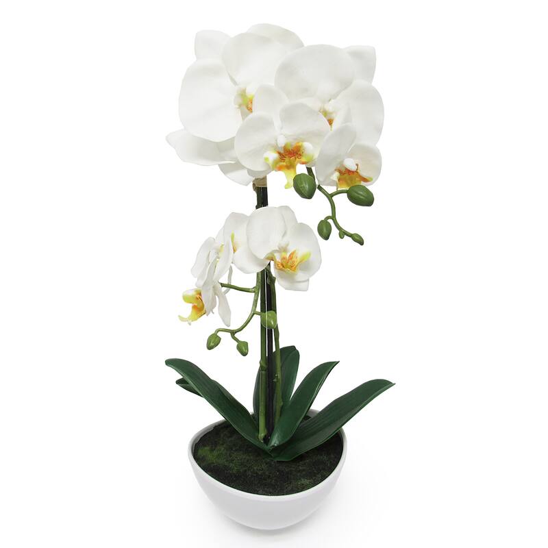 Artificial Phalaenopsis Orchid Flower Arrangement in Pot 16in