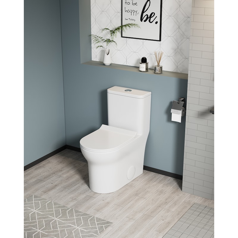 Dual Flush Elongated One-Piece Toilet