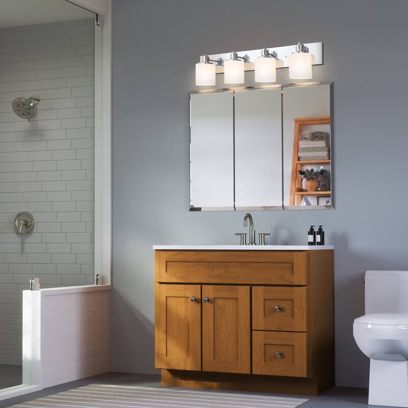 Dane Vanity Light Traditional 4-Light Indoor Bathroom Light Fixture