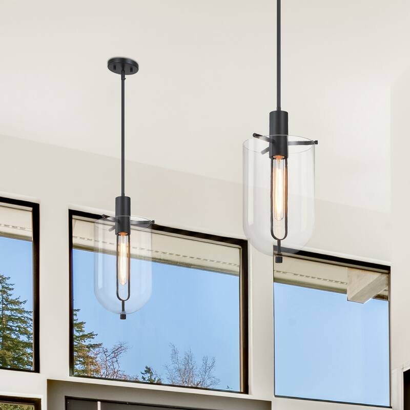Skylar 60 Watt 1-Light Matte Black Down Pendant Light with Clear Glass Shade - 19.75