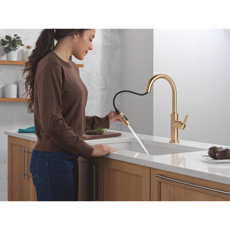 Delta 19867LF Nicoli 1.8 GPM Single Hole Pull Down Kitchen Faucet