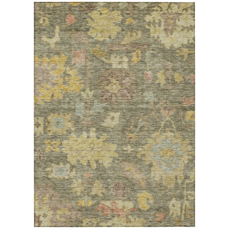 Machine Washable Indoor/ Outdoor Vintage Traditional Chantille Rug