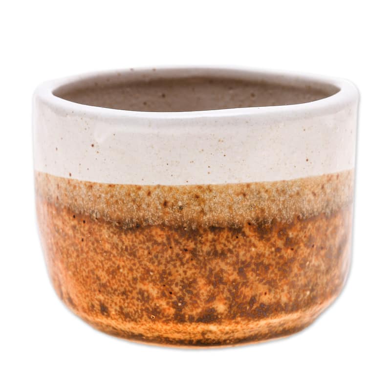 Novica Handmade Brown Bud Ceramic Flower Pot