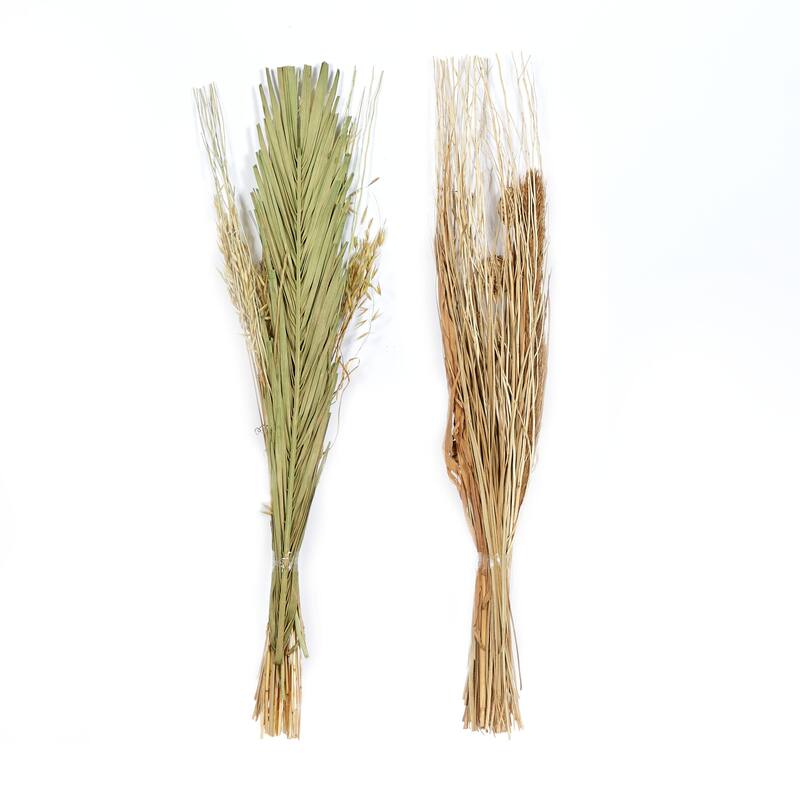 Dried Plant Pigeon pea Tall Sticks Home Decor Natural Foliage - Set of 2 Brown - Roche River Decor