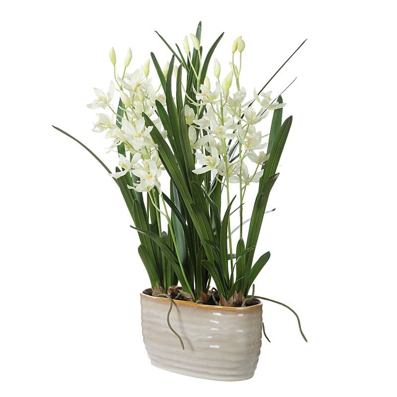Artificial Cymbidium Orchids Centerpiece in a Glossy Planter - 24.25" - White and Green