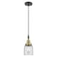 Option Clear Shade / Black Antique Brass