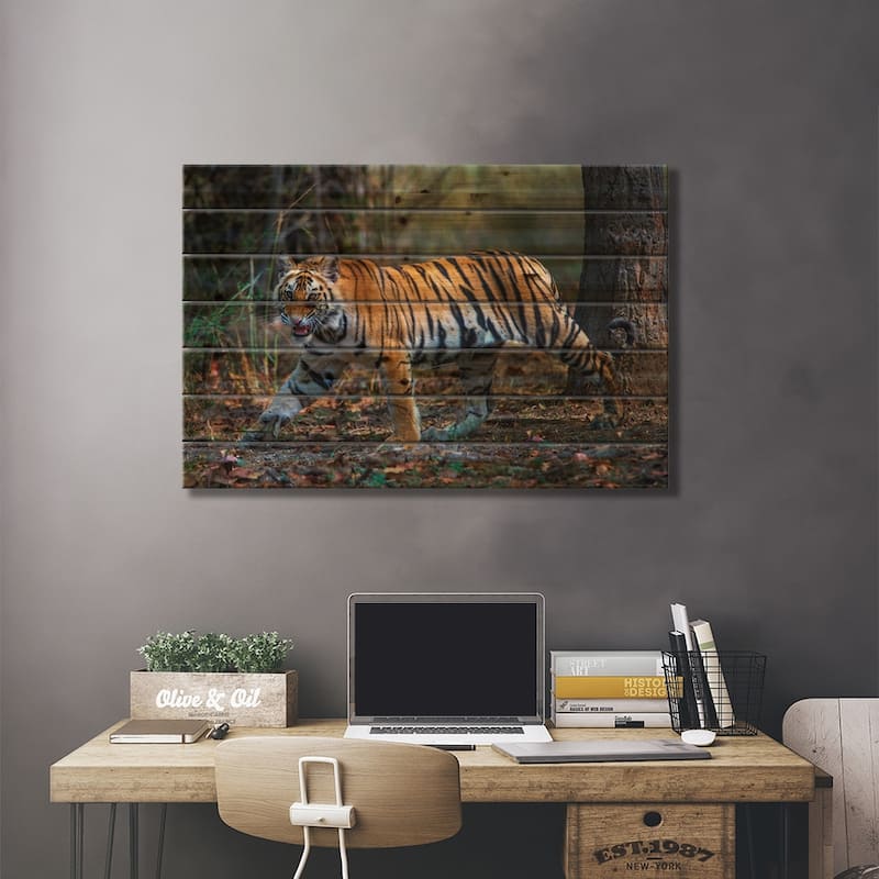 Bengal Tiger V, Bandhavgarh National Park, Umaria District, Madhya ...