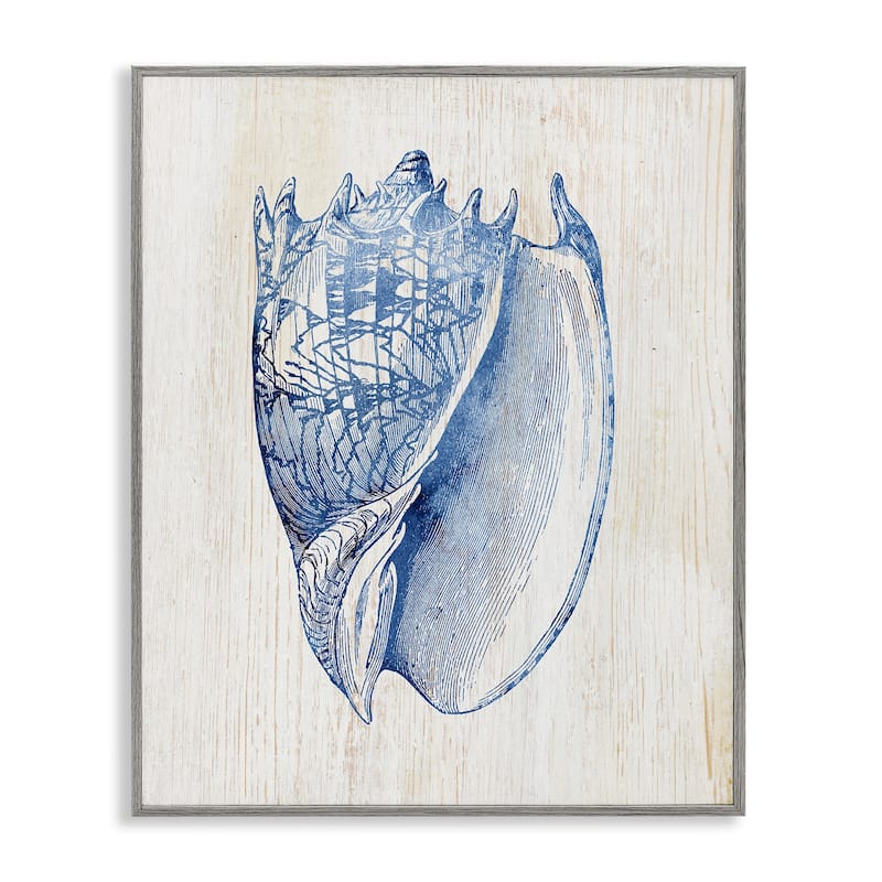 Stupell Nautical Soft Blue Conch Framed Giclee Art Design By Susan Arnot - 11 x 14 - Grey