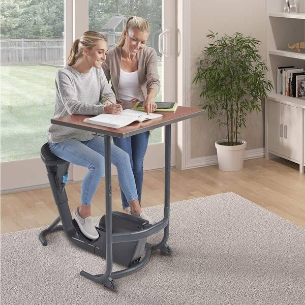Shop Lifespan Fitness Unity Spin Cycle Bike Desk Workstation