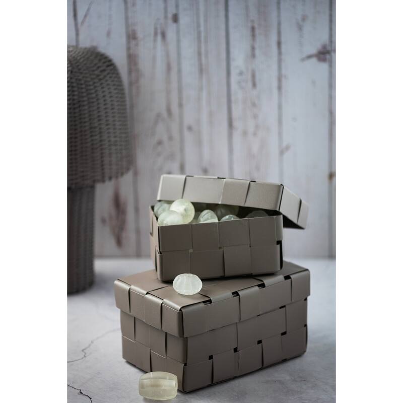 Braided Metal Rectangular Storage Boxes - 9.75" - Set of 2