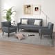 Option Grey(Chair&Sofa Set)
