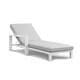 preview thumbnail 58 of 62, Benton Modern Aluminum Lounge Outdoor Double Chaise with Cushion - N/A